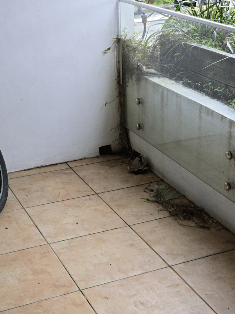 Northern Beaches Balcony Remedial Waterproofing