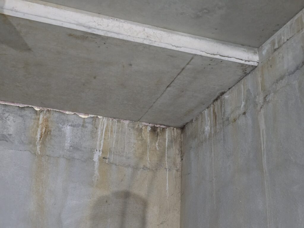 What Queensland’s Defect Insights Tell Us About Waterproofing