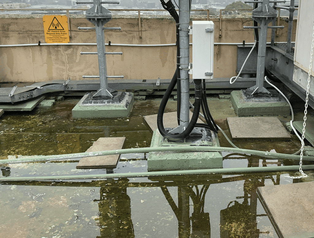 Waterproofing Has Failed. What Should You Do First?